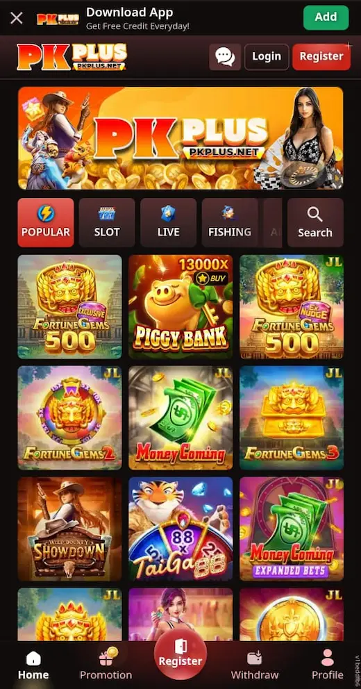 PKPLUS Game Interface